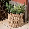 Bornno Woven Seagrass Storage Basket – Natural Weave Design